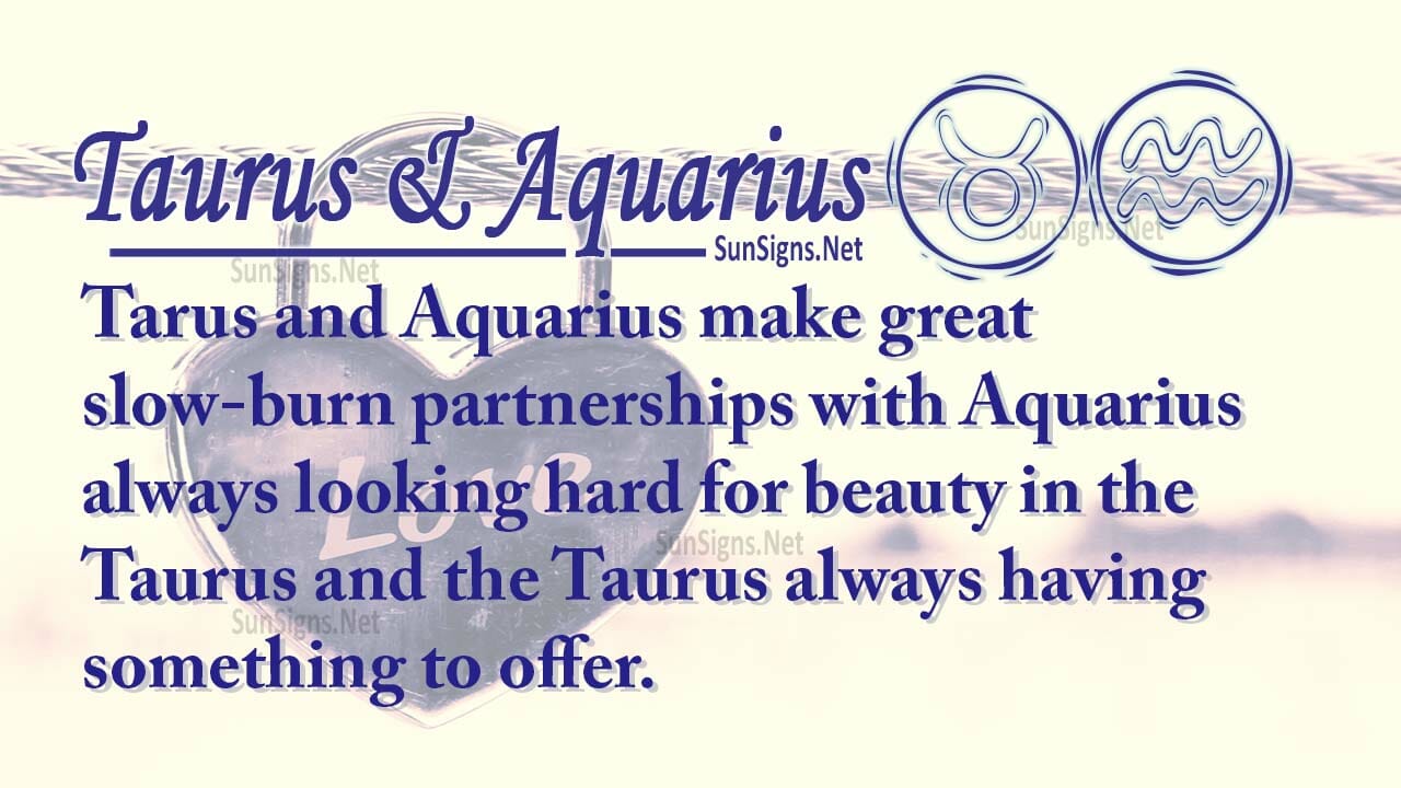 Taurus Aquarius Partners For Life In Love Or Hate Compatibility And
