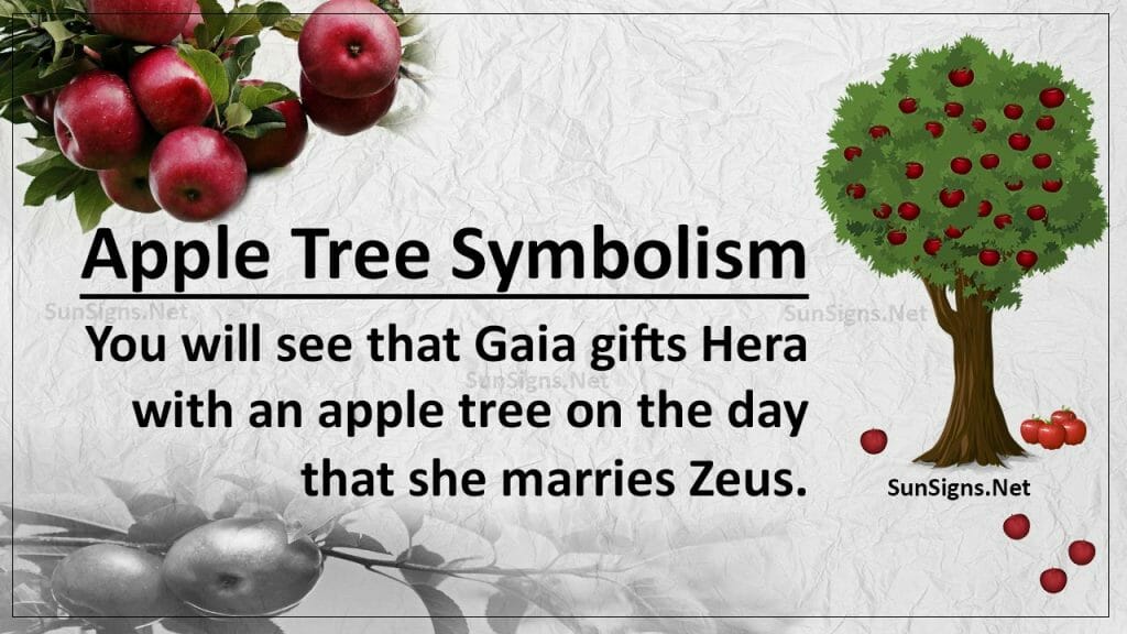 apple-tree-symbolism-the-tree-of-eden-and-the-forbidden-fruit