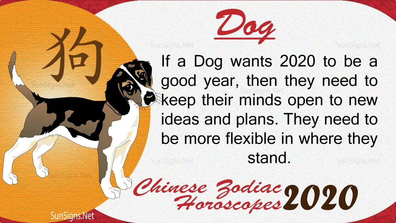 Dog 2020 Horoscope Go With the Flow Zodiac Signs 101