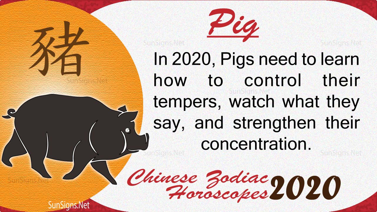 Pig 2020 Horoscope: Luck in Love and Wealth - Zodiac Signs 101