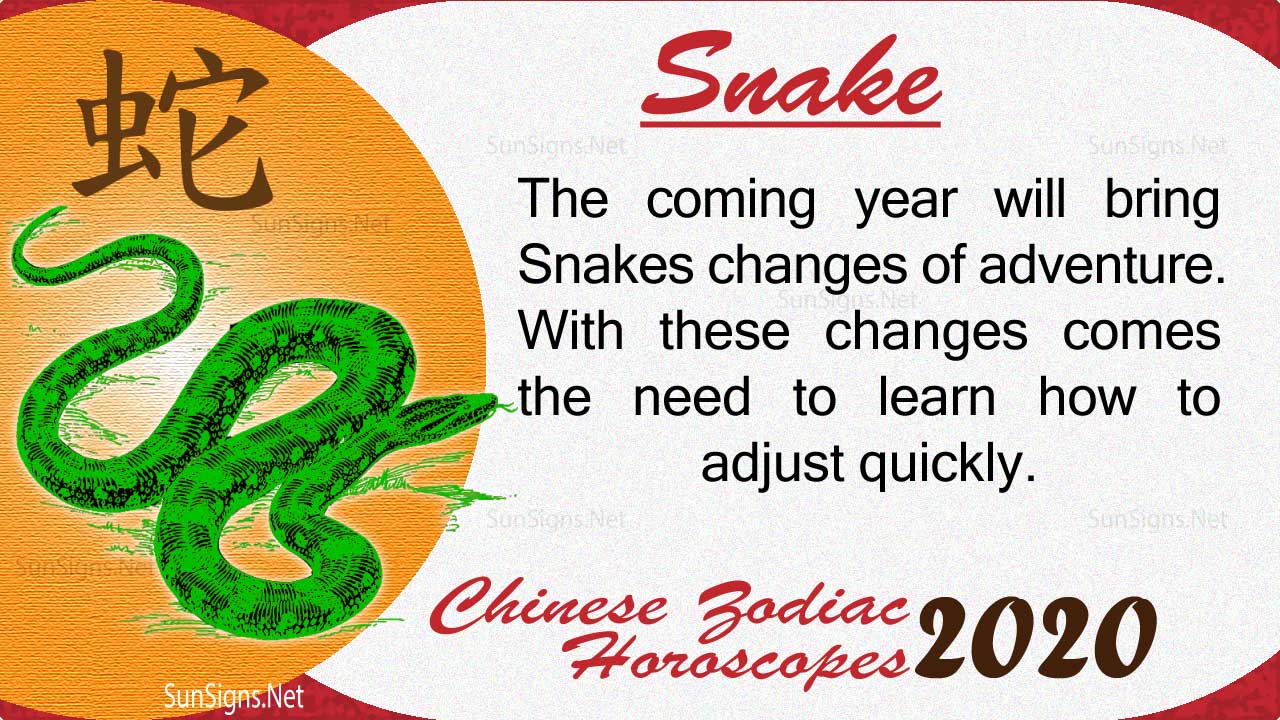 Snake 2020 Horoscope: Always the Same - Zodiac Signs 101