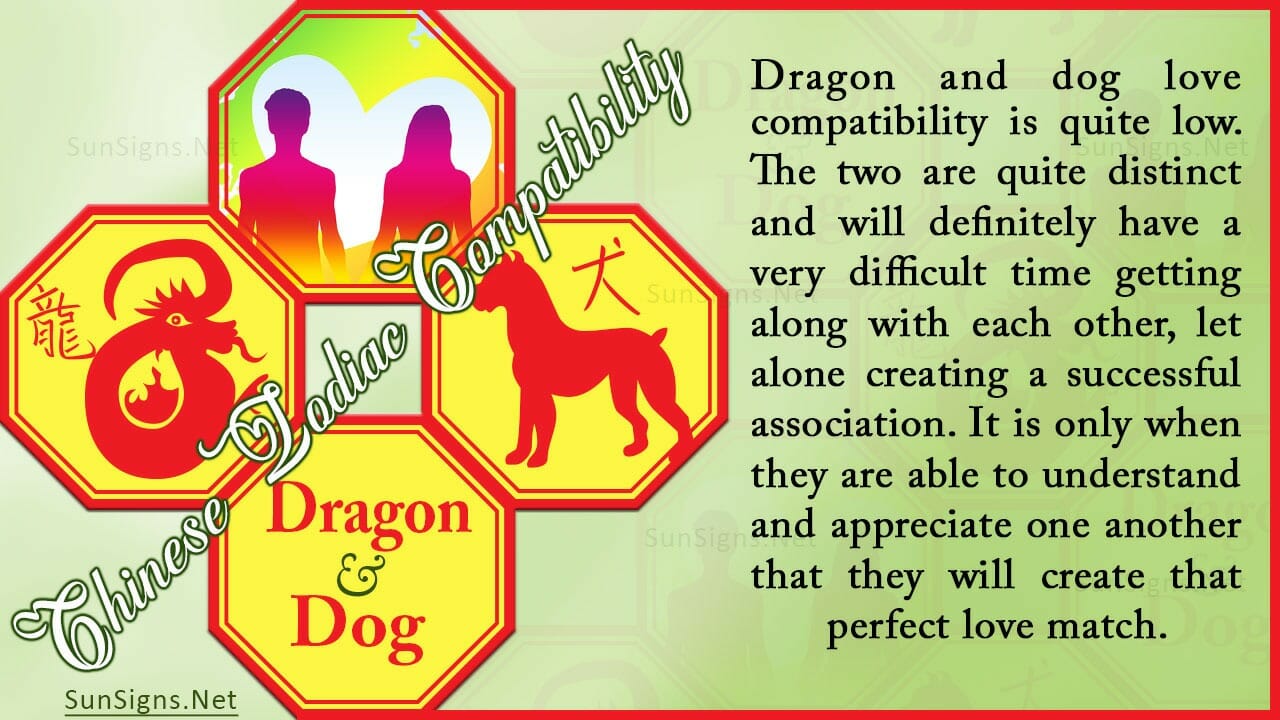 Dragon Dog Compatibility: Friends or More? - Zodiac Signs 101