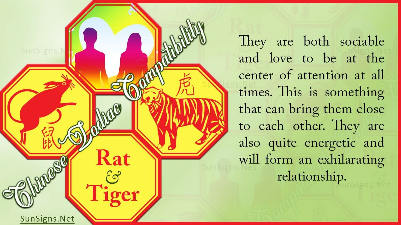 Rat Tiger Compatibility: Sociable and Aloof - ZodiacSigns101