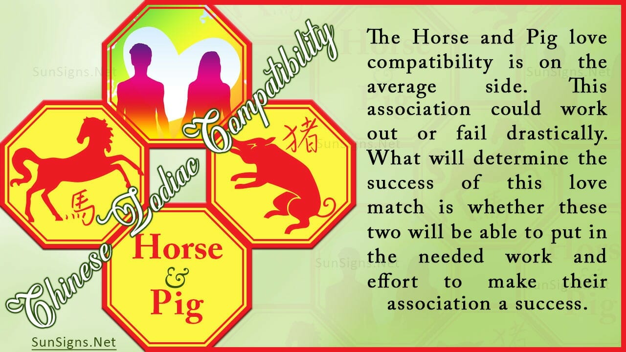 Horse Pig Compatibility Possible But Needs Work Zodiac Signs 101