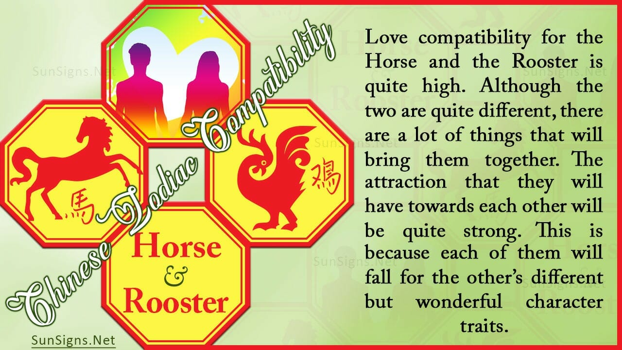 Horse Rooster Compatibility Adventurous and Workable Zodiac Signs 101