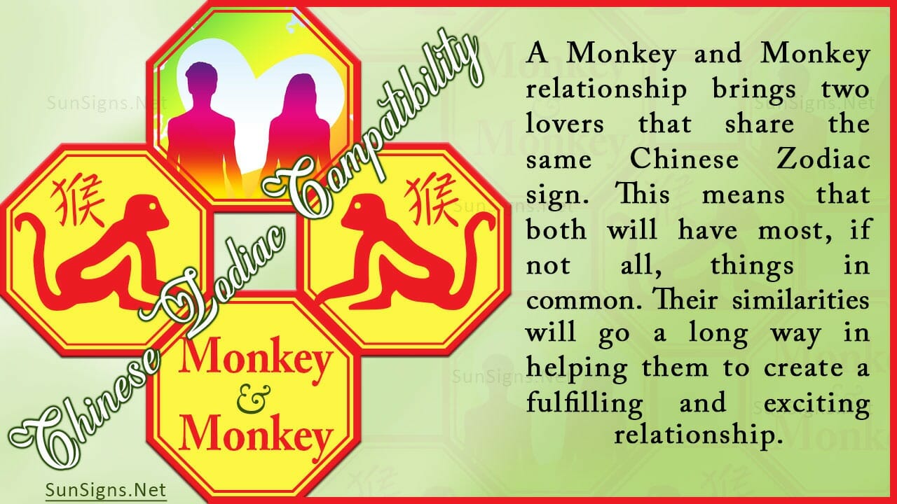 Monkey Monkey Compatibility Similar and Unstable Zodiac Signs 101