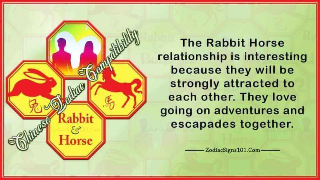 Rabbit Horse Compatibility Understanding with Care ZodiacSigns101