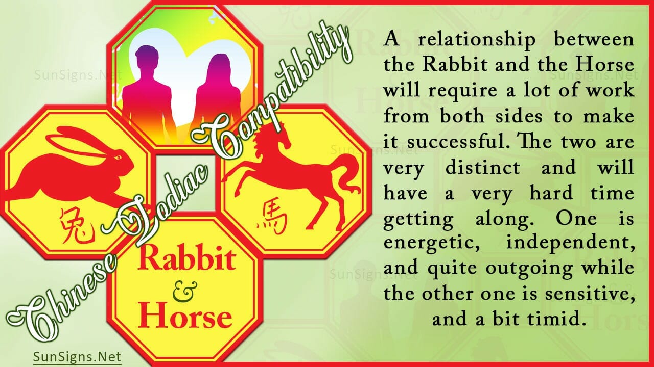 rabbit-horse-compatibility-understanding-with-care-zodiac-signs-101