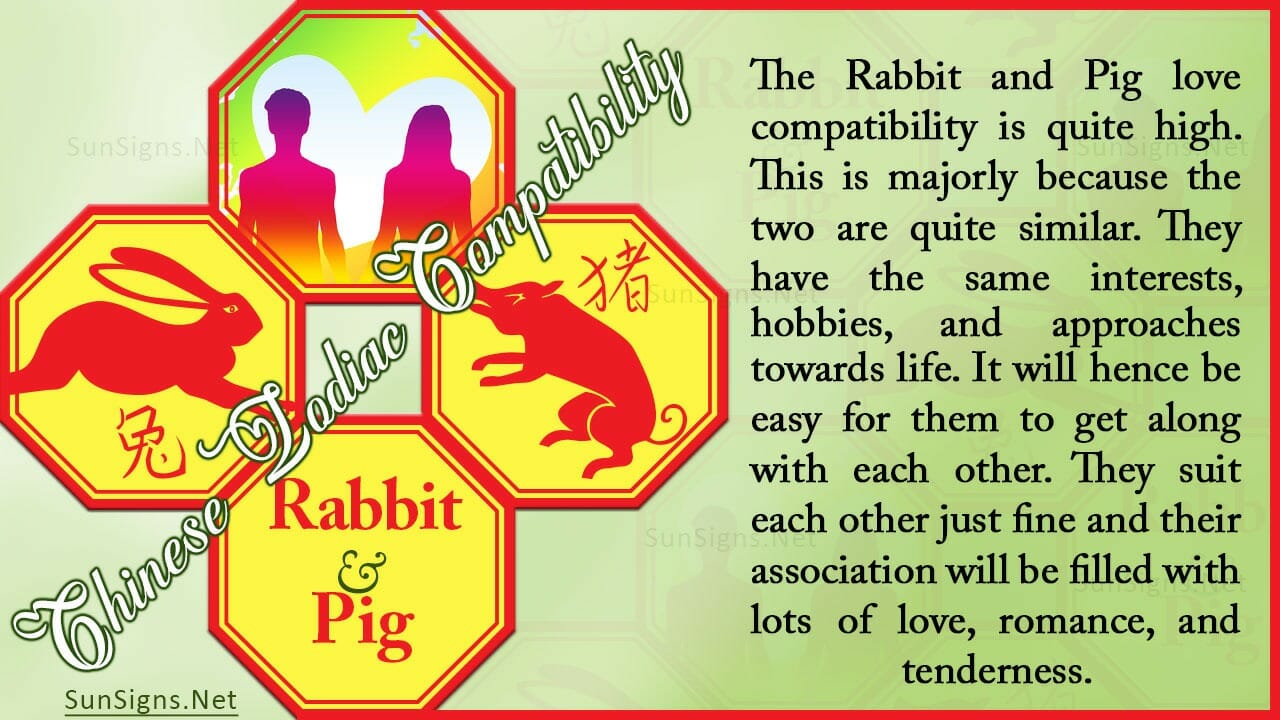 Rabbit Pig Compatibility Understanding the Differences Zodiac Signs 101