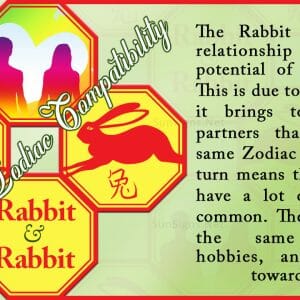 Rabbit Pig Compatibility: Understanding the Differences - Zodiac Signs 101