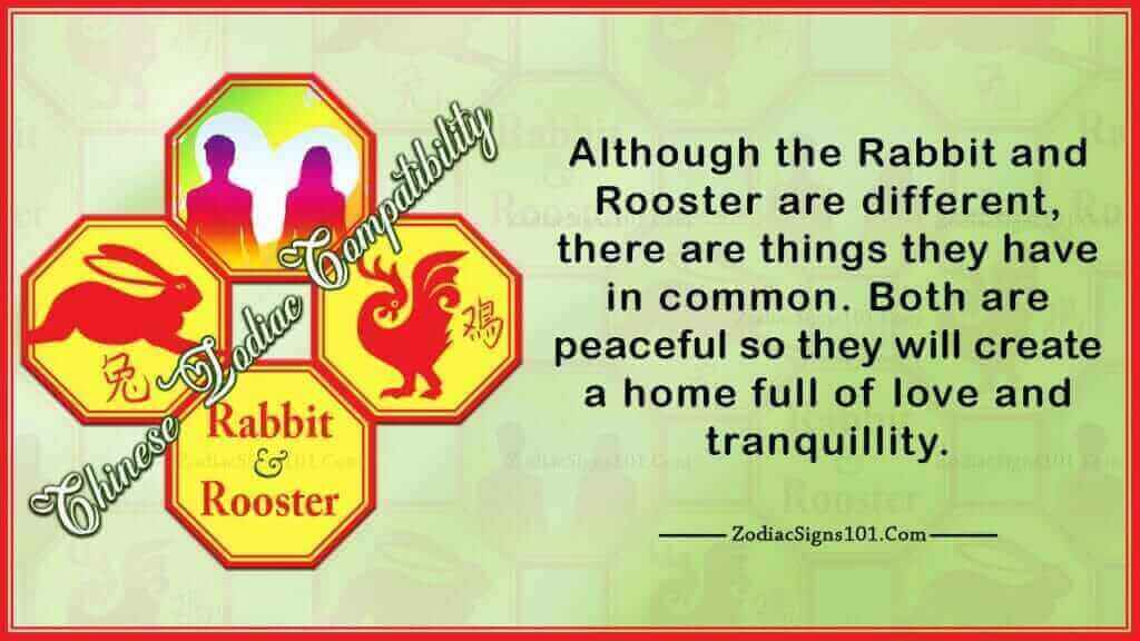 Rabbit Rooster Compatibility Stickler and Emotional ZodiacSigns101