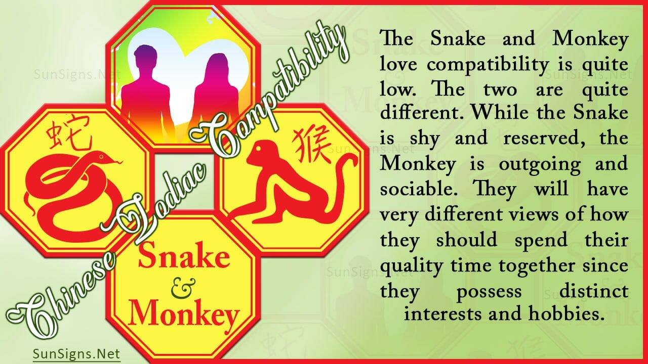 Snake Monkey Compatibility Too Different to be Happy Zodiac Signs 101