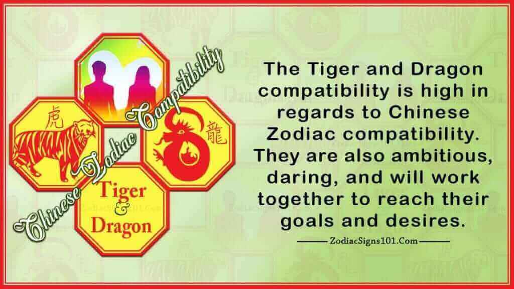 Tiger Dragon Compatibility Two Ambitious Leaders ZodiacSigns101