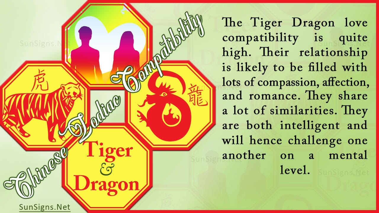 Tiger and dragon love compatibility