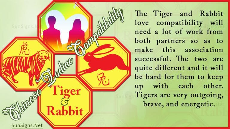 tiger-rabbit-compatibility-possible-and-distinct-zodiac-signs-101