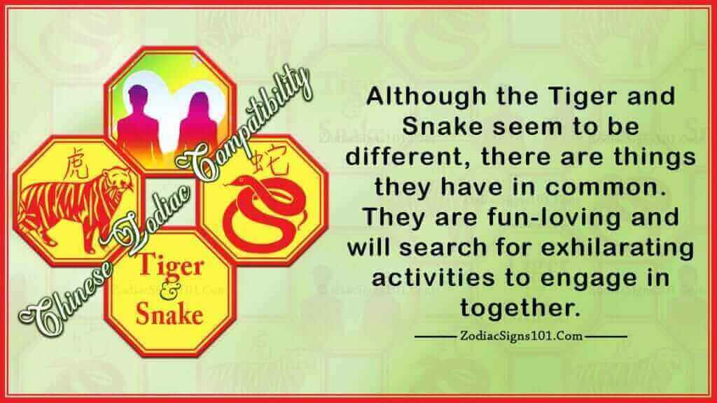 Tiger Snake Compatibility Distinctly Difficult ZodiacSigns101